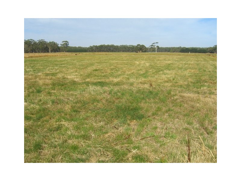 425A Cobden-South Ecklin Road, Elingamite North VIC 3266