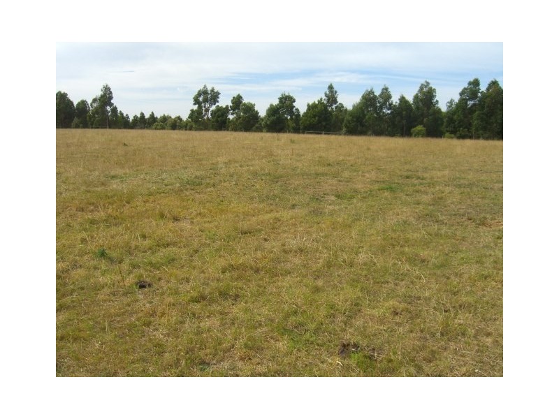 425A Cobden-South Ecklin Road, Elingamite North VIC 3266