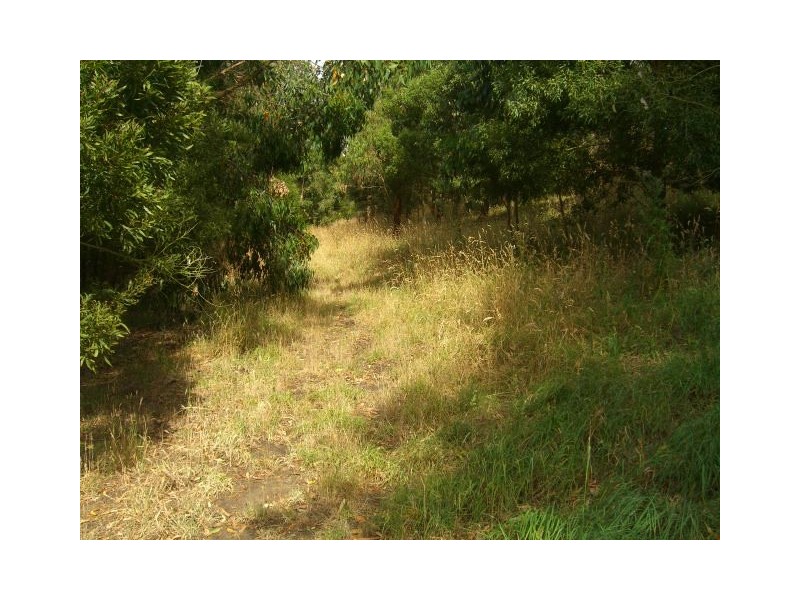 425A Cobden-South Ecklin Road, Elingamite North VIC 3266