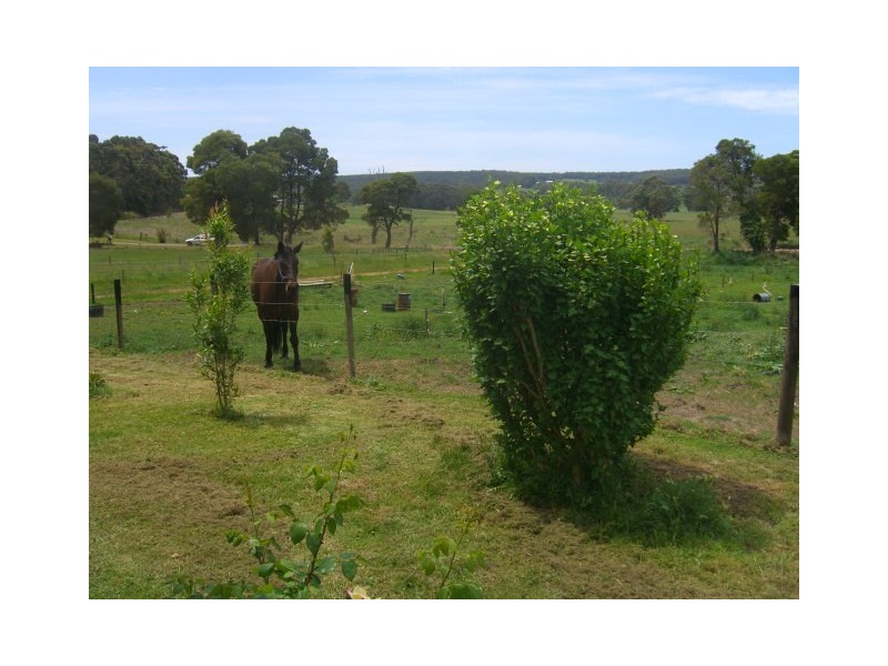 Kennedys Creek VIC 3239