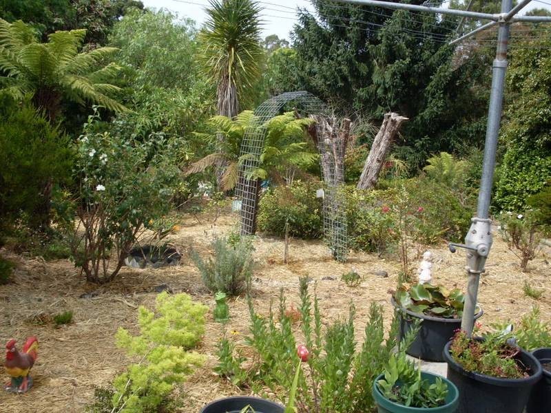 5 Dawson Street, Timboon VIC 3268