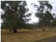Lot 1 Retalluck Road, Cobden VIC 3266