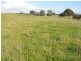 Camperdown VIC 3260