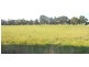 Camperdown VIC 3260