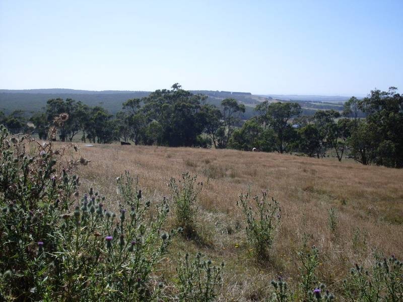 30 Cooriejong Road, Cooriemungle VIC 3268