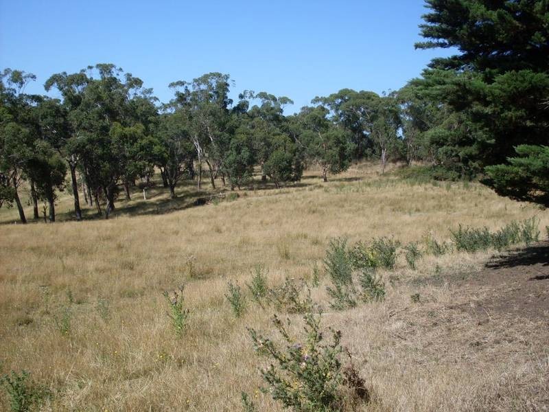 30 Cooriejong Road, Cooriemungle VIC 3268