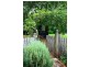 23 Leahys Lane, Timboon VIC 3268