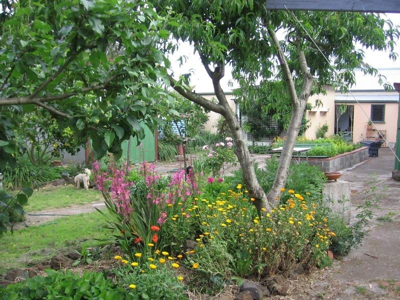 33 McKinnons Bridge Road, Noorat VIC 3265