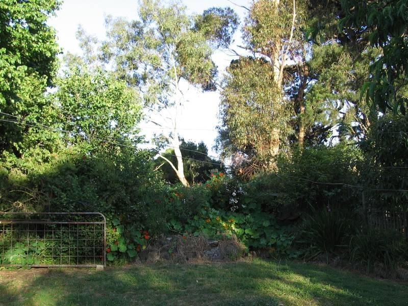 33 McKinnons Bridge Road, Noorat VIC 3265