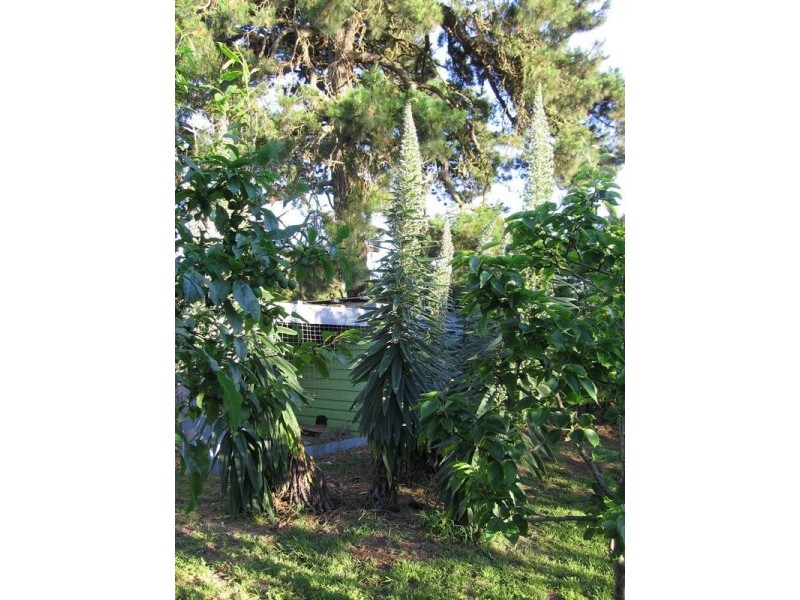 33 McKinnons Bridge Road, Noorat VIC 3265