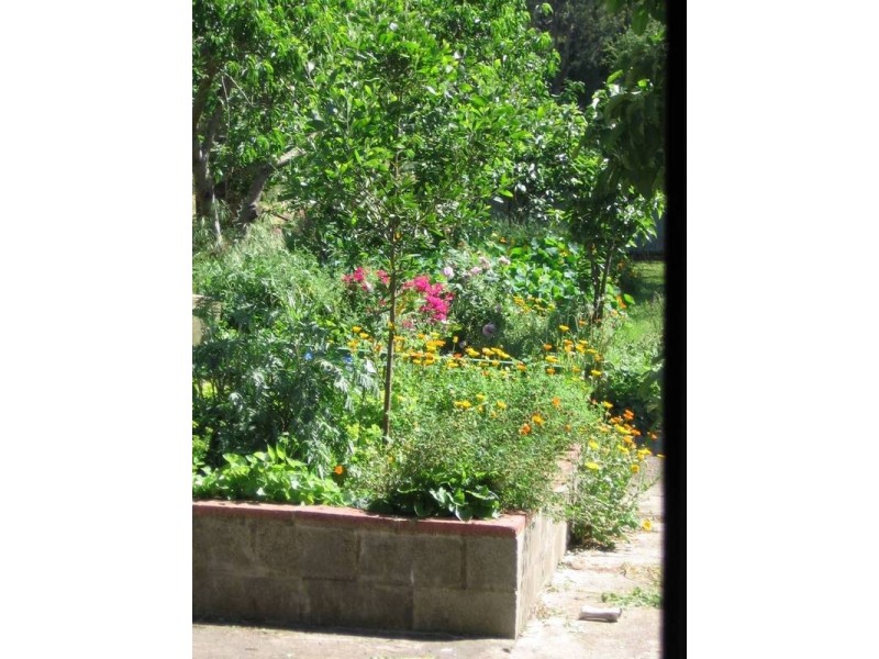 33 McKinnons Bridge Road, Noorat VIC 3265