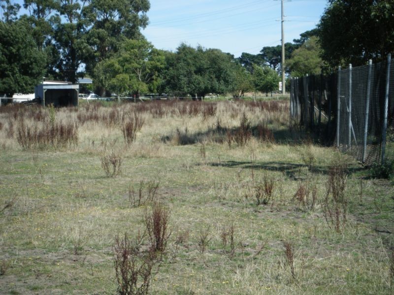 1 Cnr Princess Hwy & Peterborough Rd, Terang VIC 3264