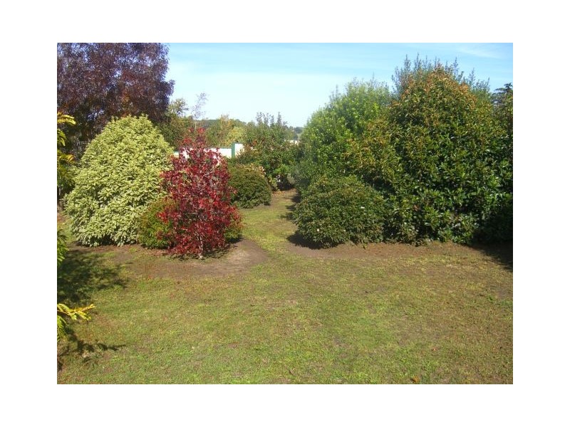 115 Bowen Street, Camperdown VIC 3260