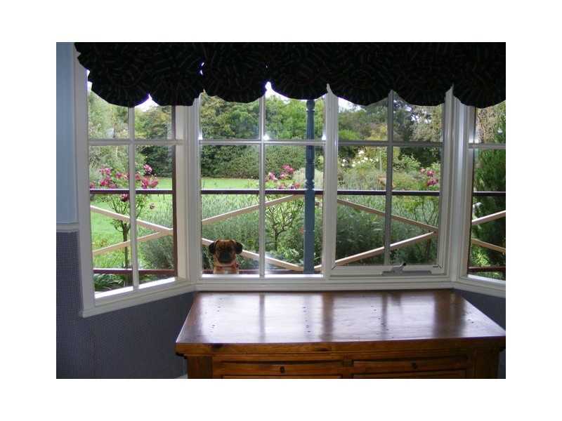 1696 Bucks Road, Jancourt VIC 3266