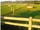 1580 Cobden-Warrnambool Road, Ecklin South VIC 3265