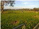 1580 Cobden-Warrnambool Road, Ecklin South VIC 3265