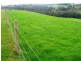1240 Hirst Road, Timboon VIC 3268