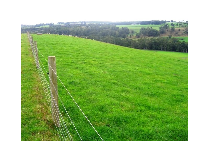 1240 Hirst Road, Timboon VIC 3268