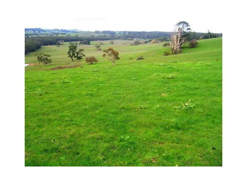 1240 Hirst Road, Timboon VIC 3268