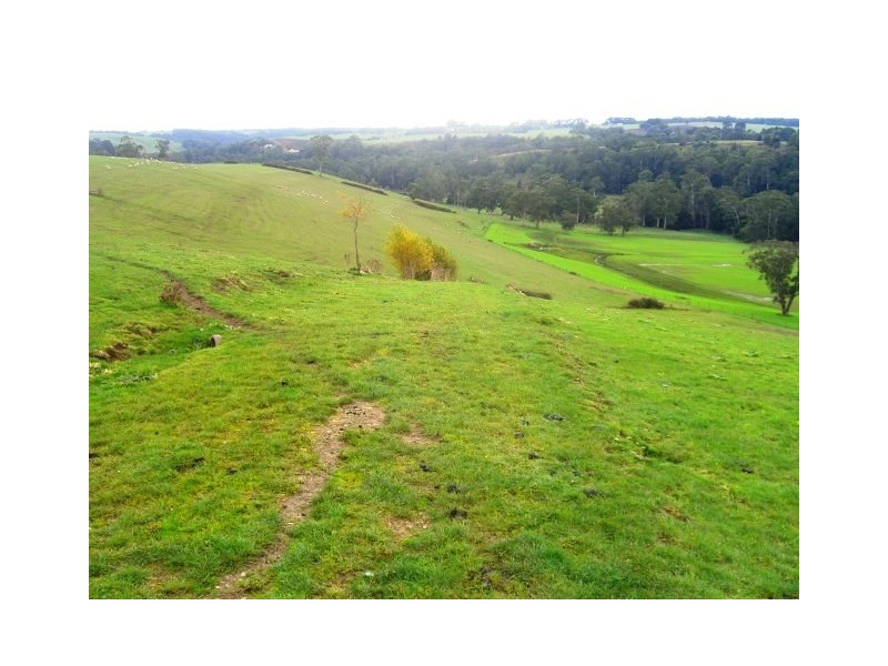 1240 Hirst Road, Timboon VIC 3268