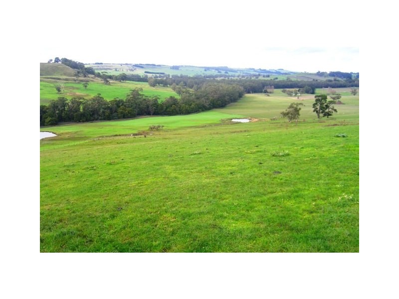 1240 Hirst Road, Timboon VIC 3268