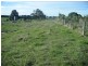 Old Timboon Road, Ecklin South VIC 3265