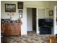 1B Errey Street, Camperdown VIC 3260