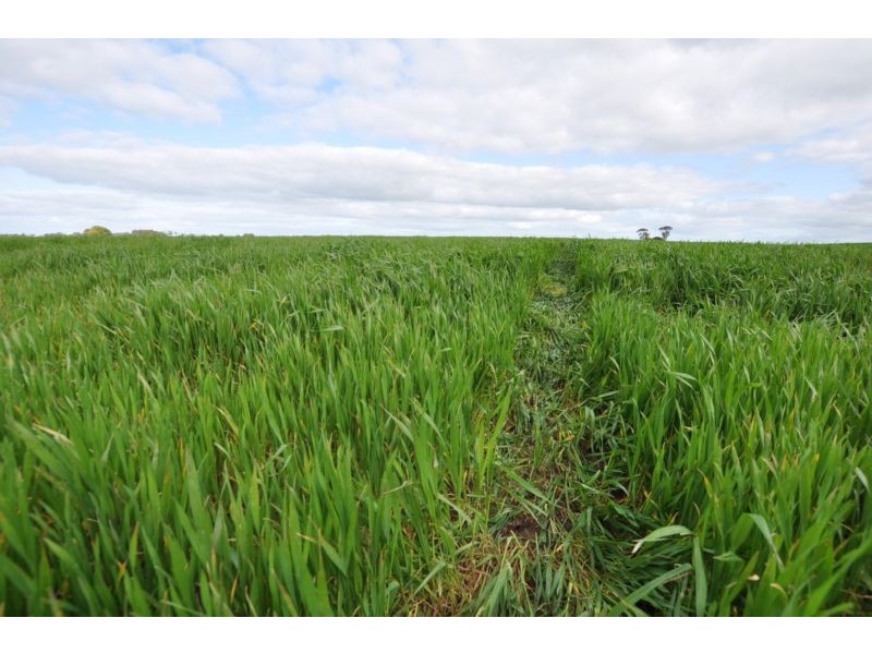 150 Camperdown Road, Derrinallum VIC 3325