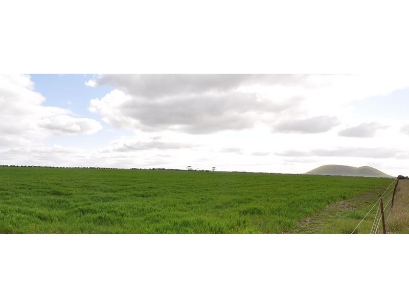 150 Camperdown Road, Derrinallum VIC 3325