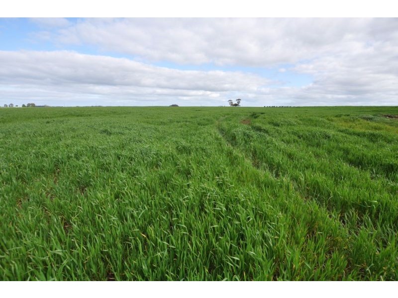 150 Camperdown Road, Derrinallum VIC 3325