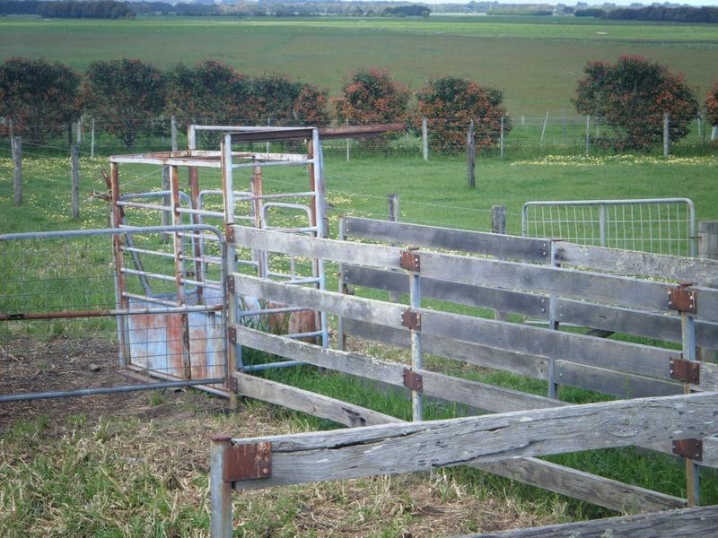 Coyles Lane, Terang VIC 3264