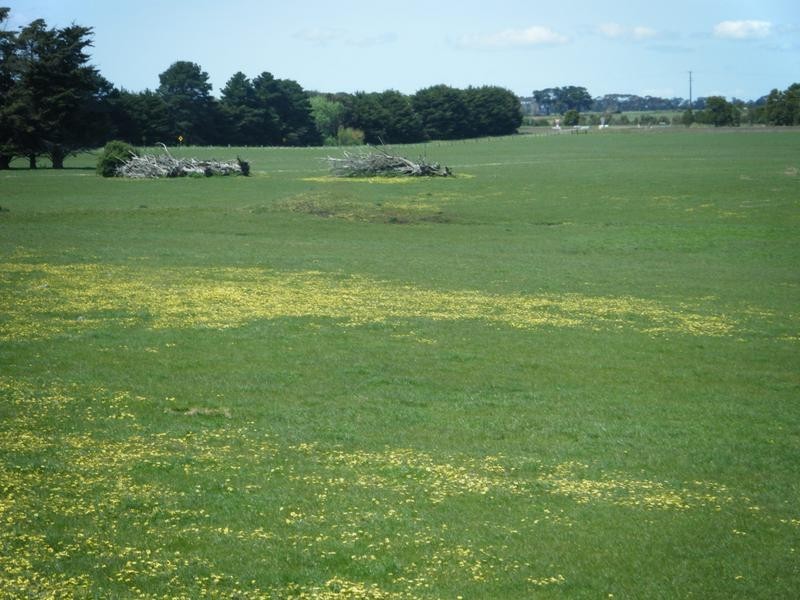 Coyles Lane, Terang VIC 3264