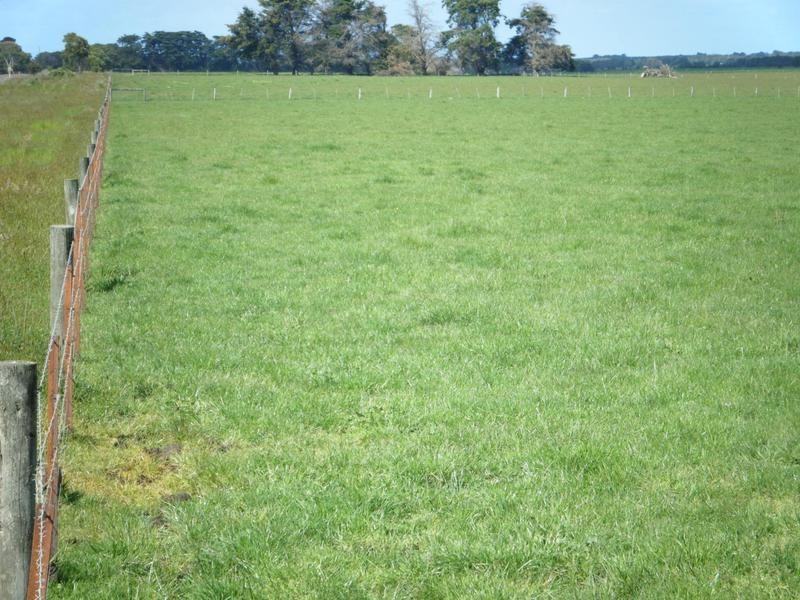 Coyles Lane, Terang VIC 3264