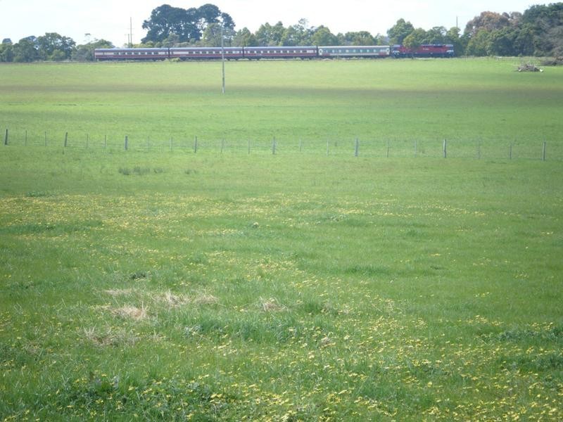 Coyles Lane, Terang VIC 3264