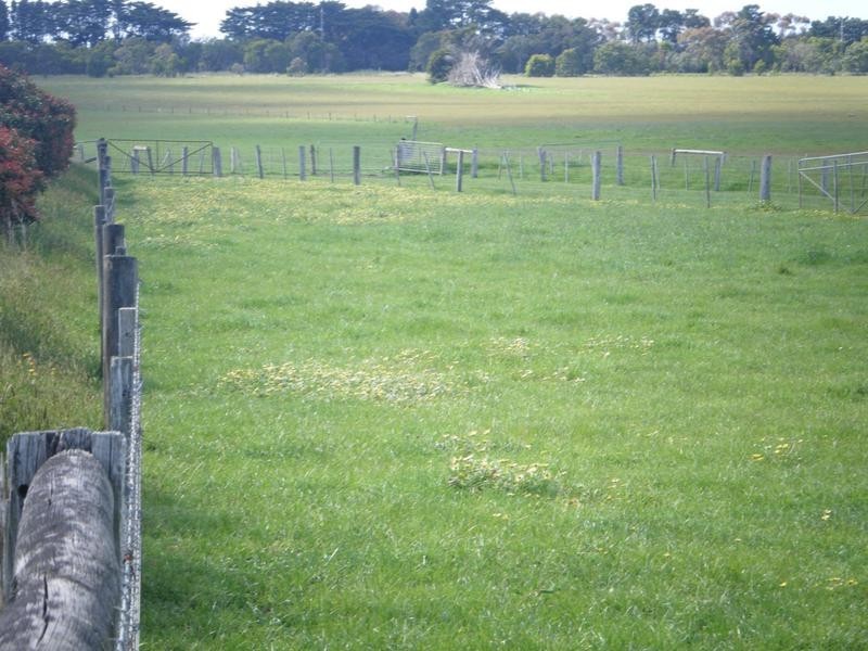 Coyles Lane, Terang VIC 3264