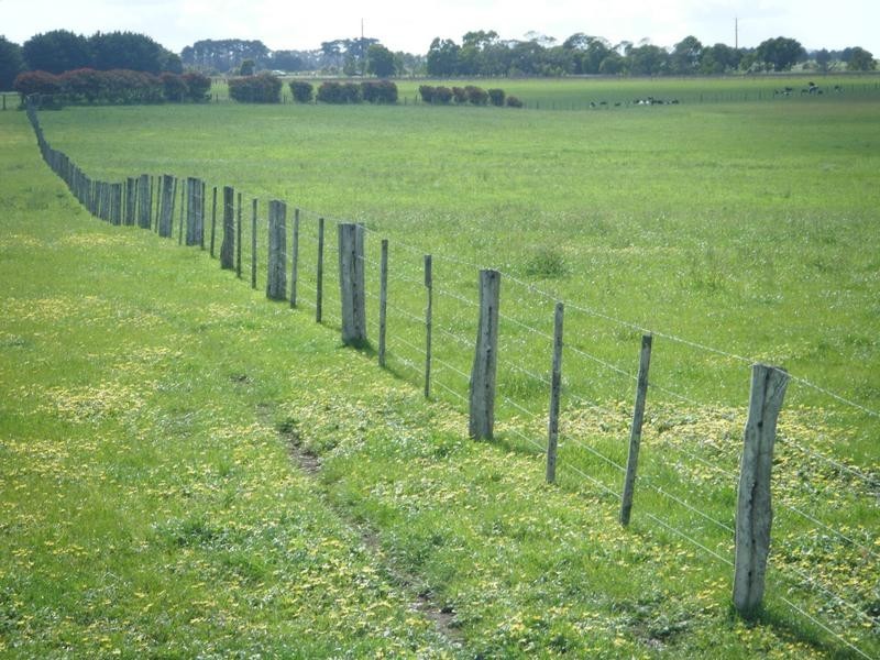 Coyles Lane, Terang VIC 3264