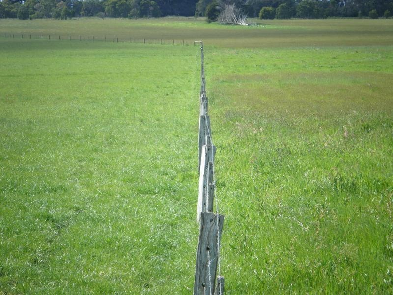 Coyles Lane, Terang VIC 3264