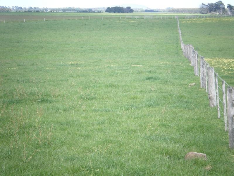 Coyles Lane, Terang VIC 3264