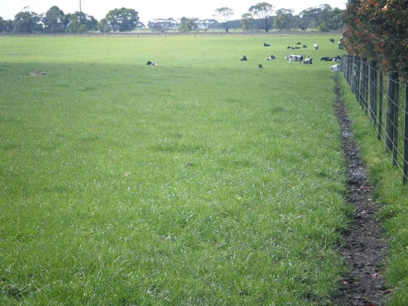 Coyles Lane, Terang VIC 3264