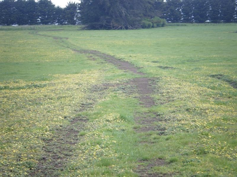 Coyles Lane, Terang VIC 3264