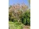 Lot 2, 398 Grassmere Road, Grassmere VIC 3281