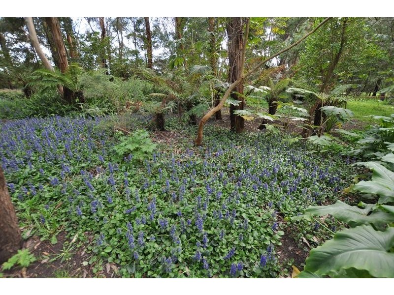 Lot 2, 398 Grassmere Road, Grassmere VIC 3281