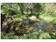 Lot 2, 398 Grassmere Road, Grassmere VIC 3281