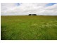 1432 Kangertong Road, Macarthur VIC 3286