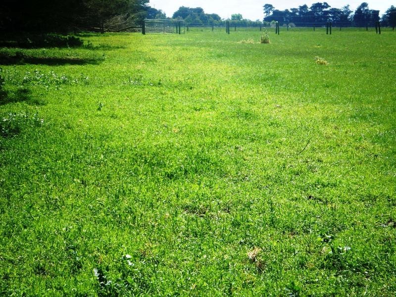 79 Depot Road, Terang VIC 3264