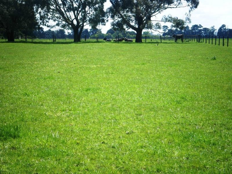 79 Depot Road, Terang VIC 3264