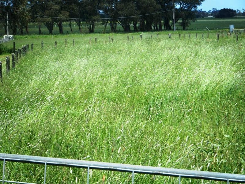 79 Depot Road, Terang VIC 3264