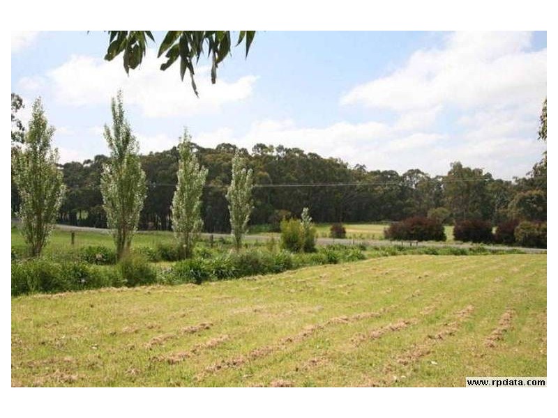 115 Curdies River Road, Timboon VIC 3268