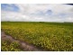 1432 Kangertong Road, Macarthur VIC 3286