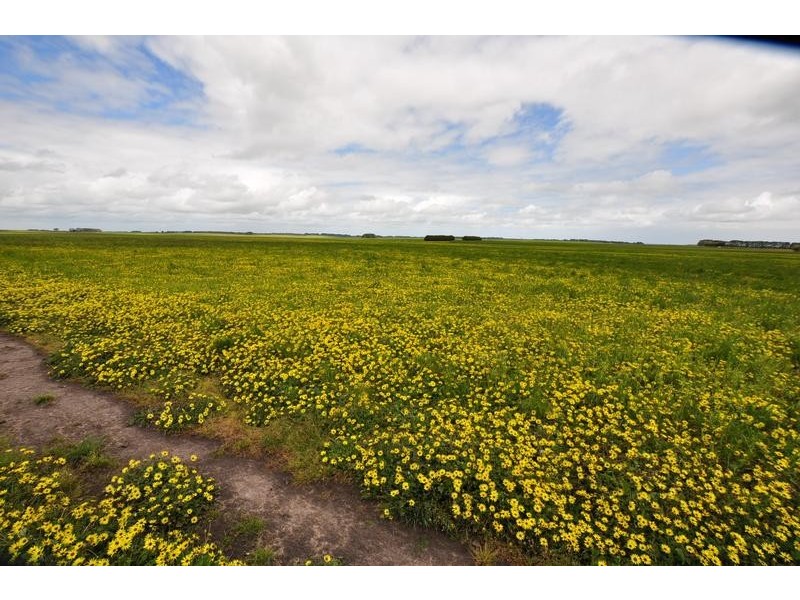 1432 Kangertong Road, Macarthur VIC 3286